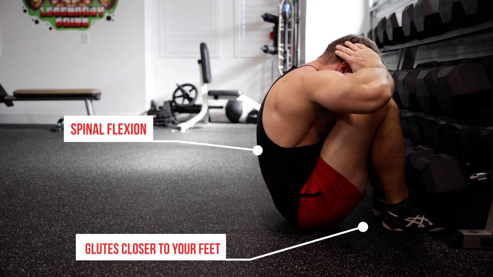 Flexion Leg Sit-up - Video Guide