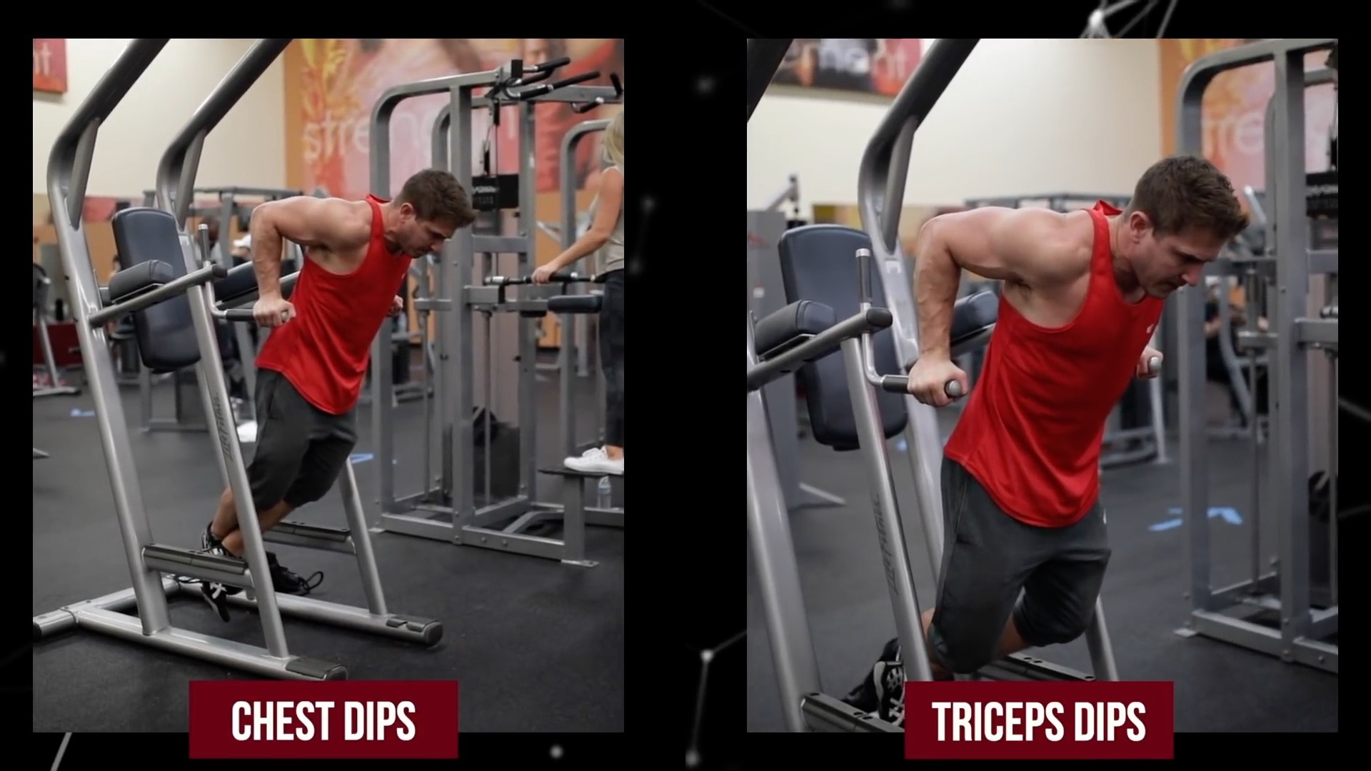 TOP 7 Chest Exercises Ranked WORST to BEST! Muscular Strength