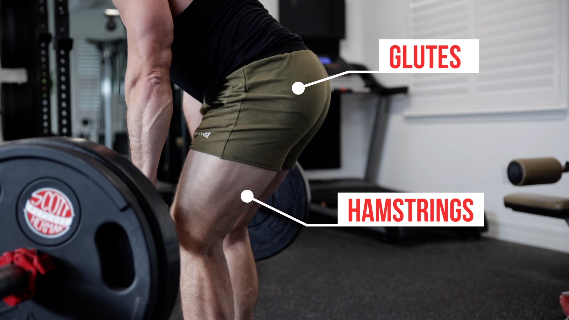 Glutes and hamstrings new arrivals