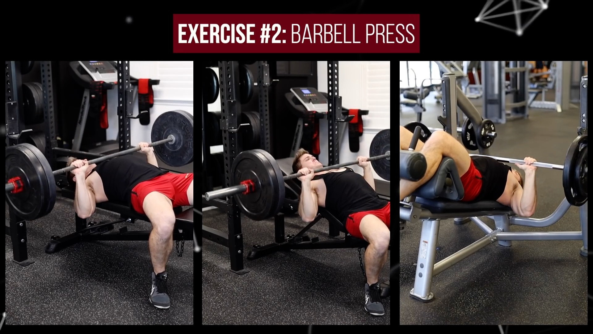 TOP 7 Chest Exercises Ranked WORST to BEST! Muscular Strength