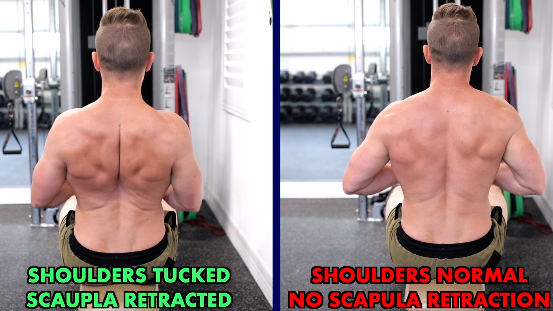 How To Get a Wider Back, Wide Back Exercises