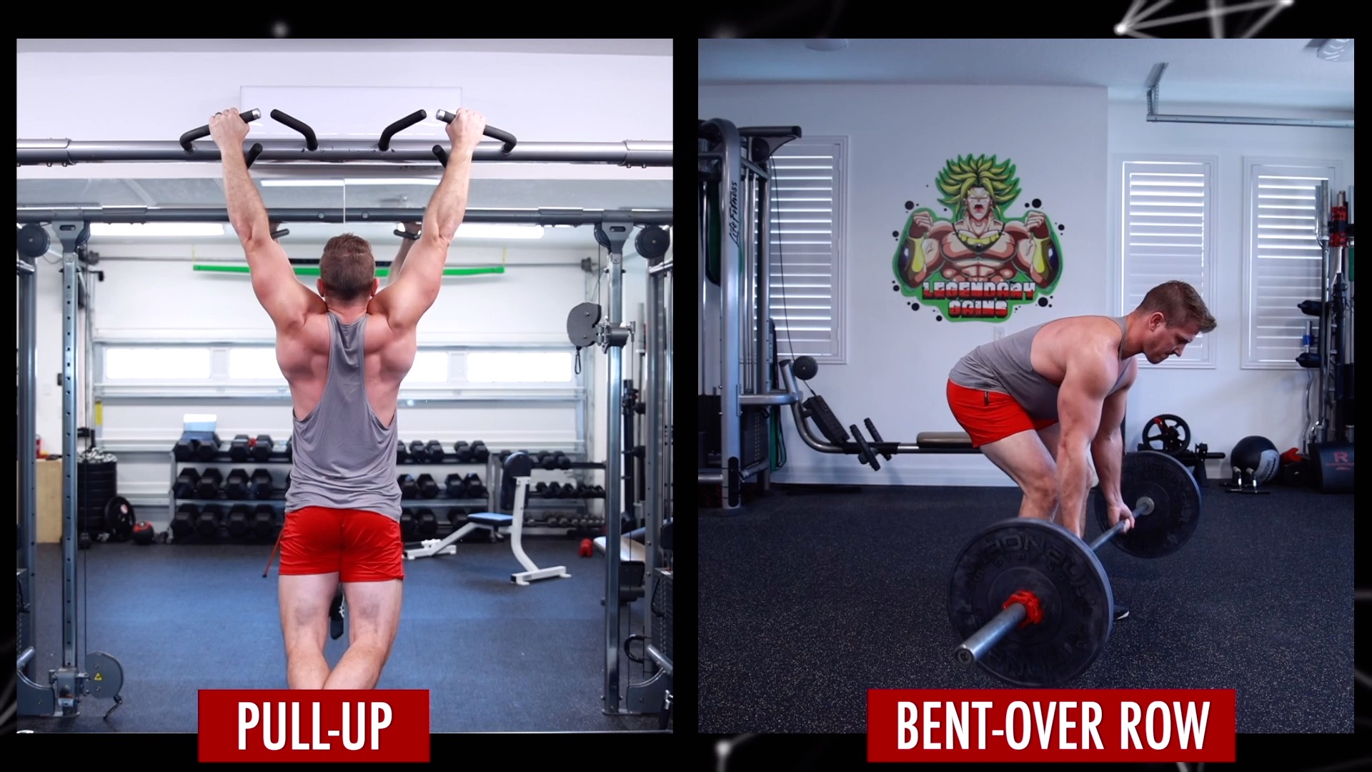 5 Back Exercises You MUST TRY To Force Muscle Growth!